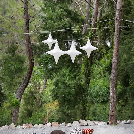 Dasylio - Earthy Living Homes Apartamento *